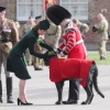 Filename=kate_0342.jpg
Filesize=1785KiB
Dimensions=5472x3648
Date added=Aug 30, 2026 kate_0342.jpg