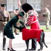 Filename=kate_0345.jpg
Filesize=1207KiB
Dimensions=3582x3588
Date added=Aug 30, 2026 kate_0345.jpg