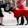 Filename=kate_0347.jpg
Filesize=1104KiB
Dimensions=3648x2752
Date added=Aug 30, 2026 kate_0347.jpg