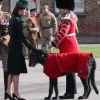 Filename=kate_0351.jpg
Filesize=1473KiB
Dimensions=3224x4836
Date added=Aug 30, 2026 kate_0351.jpg