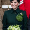Filename=kate_0498~0.jpg
Filesize=3623KiB
Dimensions=1916x3062
Date added=Aug 30, 2026 kate_0498~0.jpg