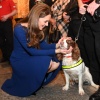 kate_0023.jpg