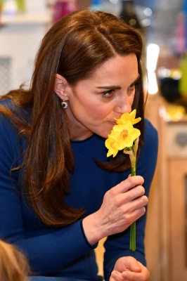 kate_0003.jpg