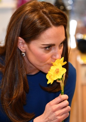 kate_0021.jpg