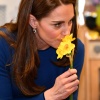 kate_0003.jpg