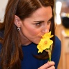 kate_0021.jpg