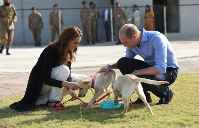 kate_0027.jpg