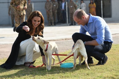 kate_0064.jpg