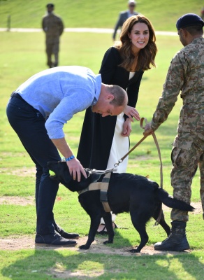 kate_0086.jpg