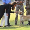Filename=kate_0009.jpg
Filesize=1937KiB
Dimensions=4156x2895
Date added=Aug 30, 2026 kate_0009.jpg