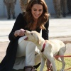 Filename=kate_0010.jpg
Filesize=746KiB
Dimensions=1922x2613
Date added=Aug 30, 2026 kate_0010.jpg