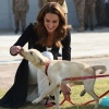 kate_0019.jpg