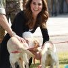 kate_0023.jpg