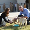 kate_0026.jpg
