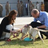 kate_0027.jpg