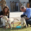 kate_0028.jpg