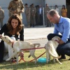 kate_0029.jpg