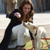kate_0031.jpg