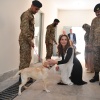 kate_0045.jpg