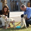 kate_0063.jpg