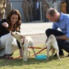 kate_0064.jpg