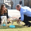 Filename=kate_0067.jpg
Filesize=1559KiB
Dimensions=3865x2572
Date added=Aug 30, 2026 kate_0067.jpg