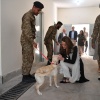 Filename=kate_0072.jpg
Filesize=4315KiB
Dimensions=5568x3712
Date added=Aug 30, 2026 kate_0072.jpg