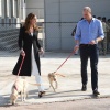Filename=kate_0073.jpg
Filesize=1614KiB
Dimensions=3754x2778
Date added=Aug 30, 2026 kate_0073.jpg