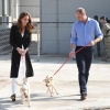 Filename=kate_0074.jpg
Filesize=1221KiB
Dimensions=3503x2602
Date added=Aug 30, 2026 kate_0074.jpg