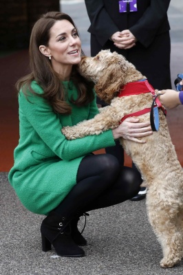 kate_0024.jpg