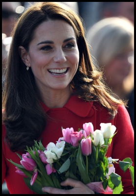 kate_0084.jpg
