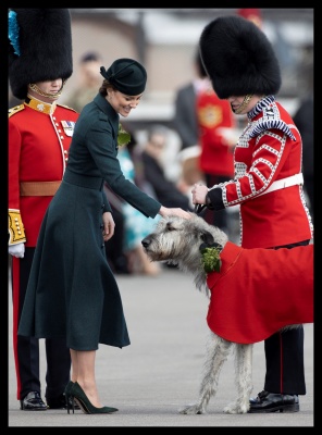 kate_0028.jpg