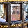 kate_0048.jpg