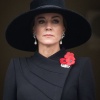 Filename=kate_0079.jpg
Filesize=970KiB
Dimensions=1577x2048
Date added=Sep 03, 2026 kate_0079.jpg