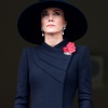 Filename=kate_0103.jpg
Filesize=994KiB
Dimensions=1661x1961
Date added=Sep 03, 2026 kate_0103.jpg