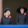 kate_0135.jpg