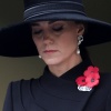 Filename=kate_0157.jpg
Filesize=746KiB
Dimensions=1528x1019
Date added=Sep 03, 2026 kate_0157.jpg